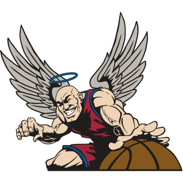 AR17 ANGEL BSKT 04 RQC Miniaturansicht