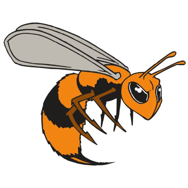 AR BEE 34 RC Miniaturansicht