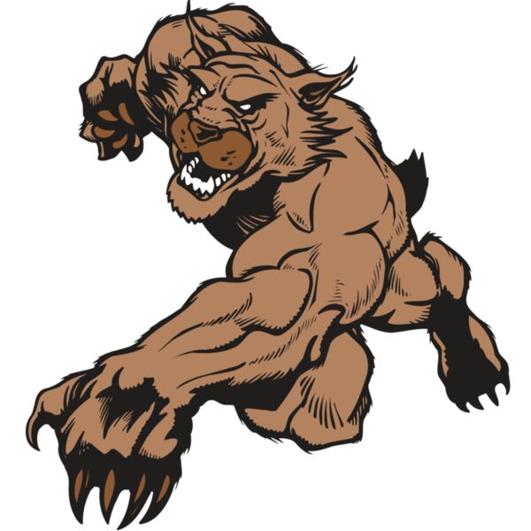 AR WILDCAT 47 RC Miniaturansicht