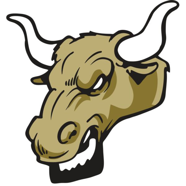 AR3 BULL 02 RQC Miniaturansicht