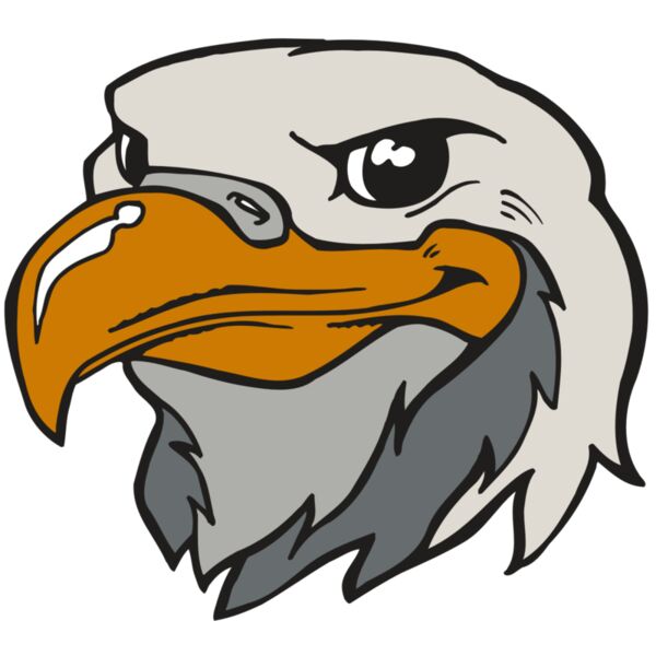 AR5 Eagle 39 RQC Miniaturansicht