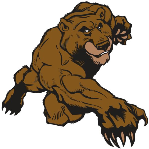 AR BEAR 29 RC Miniaturansicht