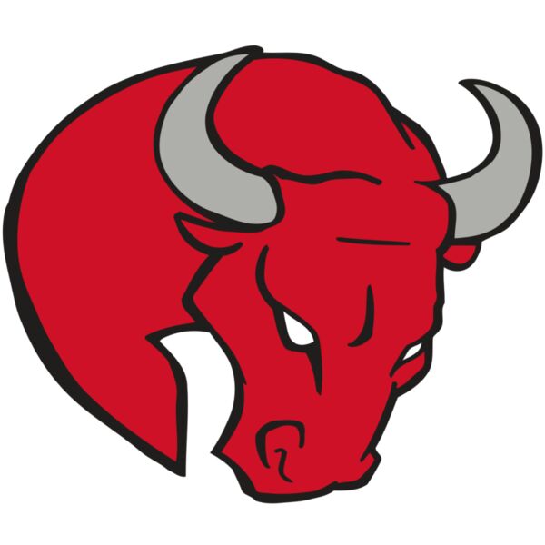 AR BULL 24 RC Miniaturansicht