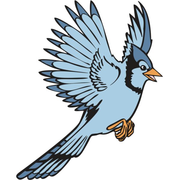 BAW BLUEJAY 12 RC Miniaturansicht