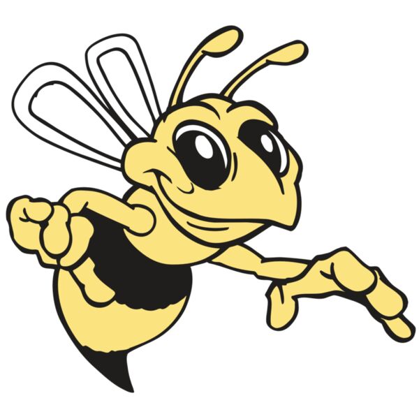 AR BEE 35 RC Miniaturansicht