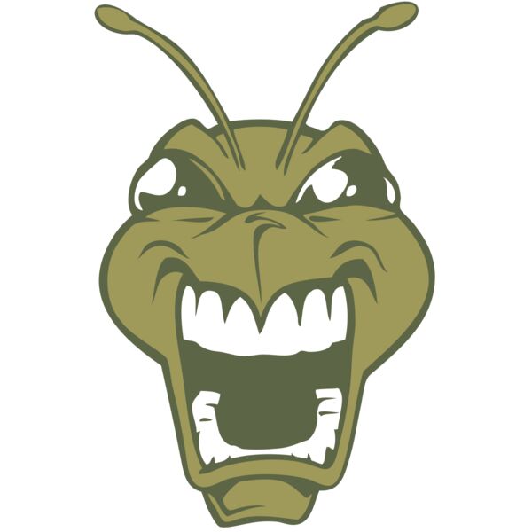 BAW BEE 13 RC Miniaturansicht