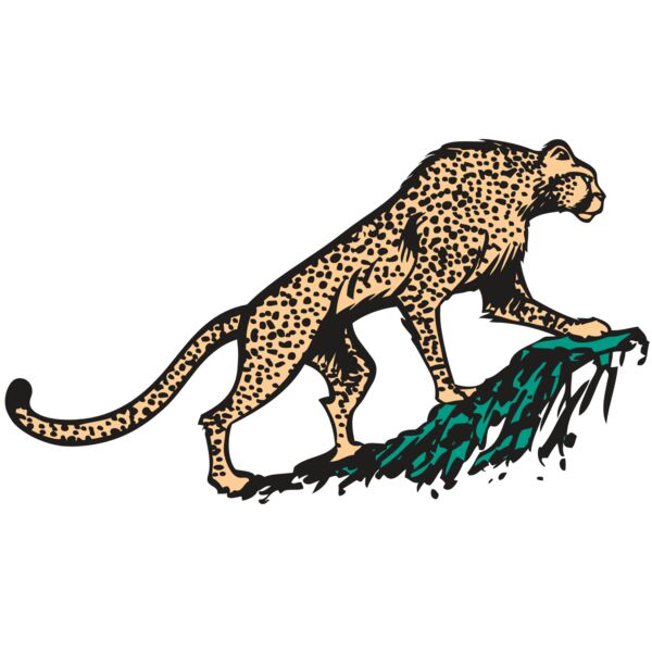 AR CHEETAH 02 RC Miniaturansicht