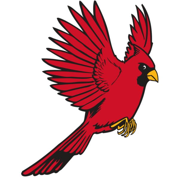 BAW CARDINAL 19 RC Miniaturansicht