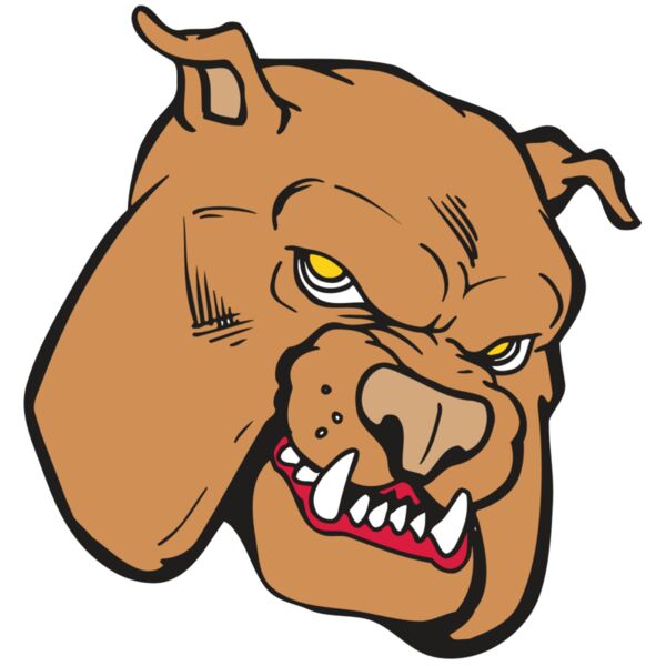 AR BDOG 41 RC Miniaturansicht