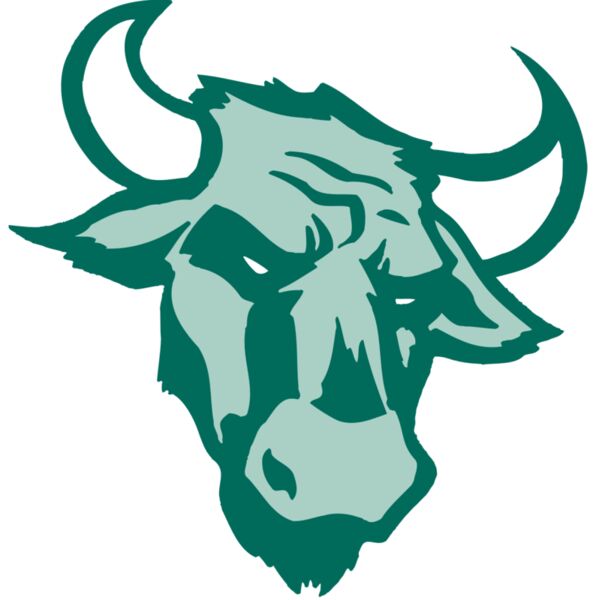 AR BULL 37 RC Miniaturansicht