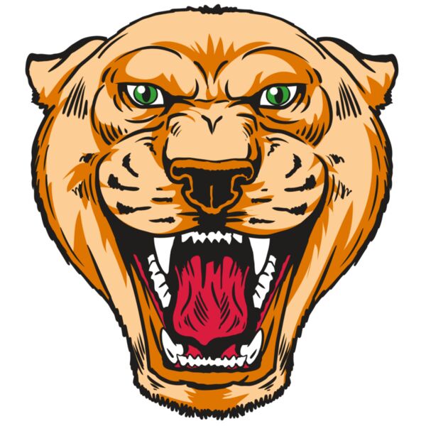 AR13 COUGAR 01 RQC Miniaturansicht