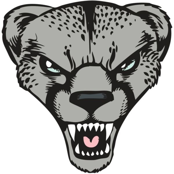 BAW CHEETAH 15 RC Miniaturansicht