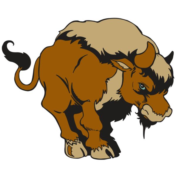 AR5 BUFFALO 13 RQC Miniaturansicht