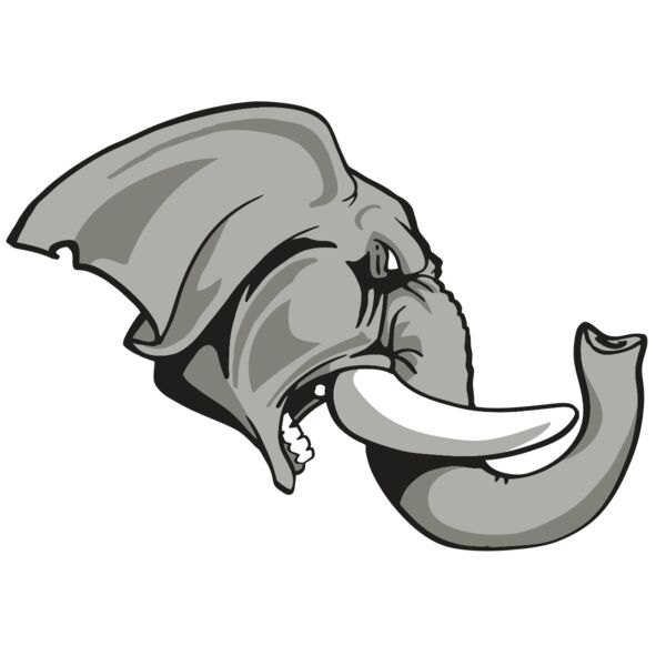 AR ELEPH 20 RC Miniaturansicht