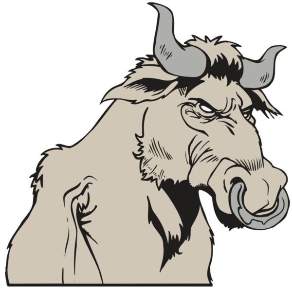 AR5 BULL 08 RQC Miniaturansicht