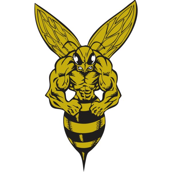 BAW BEE 06 RC Miniaturansicht