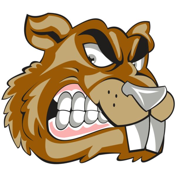 BEAVER HD0503 RQC Miniaturansicht