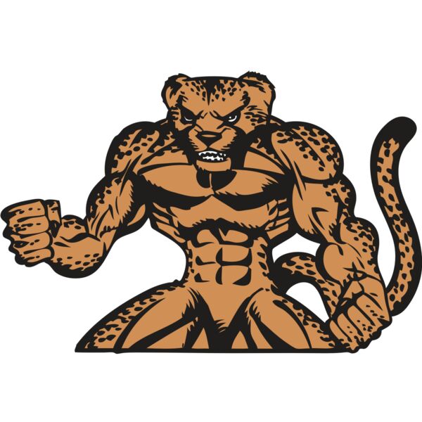 BAW CHEETAH 07 RC Miniaturansicht