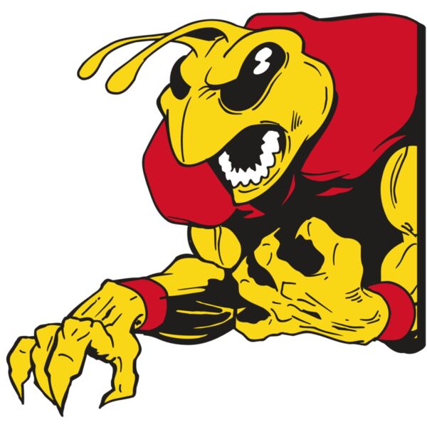 AR5 BEE 28 RQC Miniaturansicht