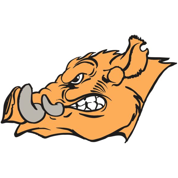 AR RAZORBACK 27 RC Miniaturansicht