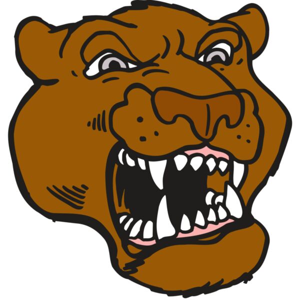 AR5 COUGAR 29 RQC Miniaturansicht