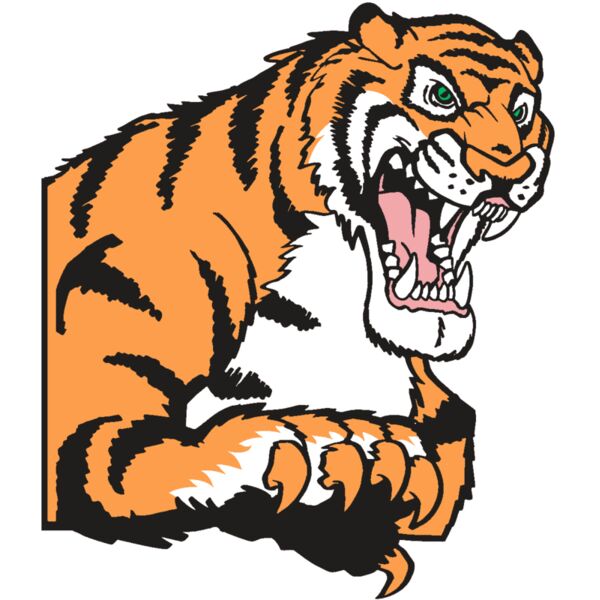 AR TIGER 10 RC Miniaturansicht