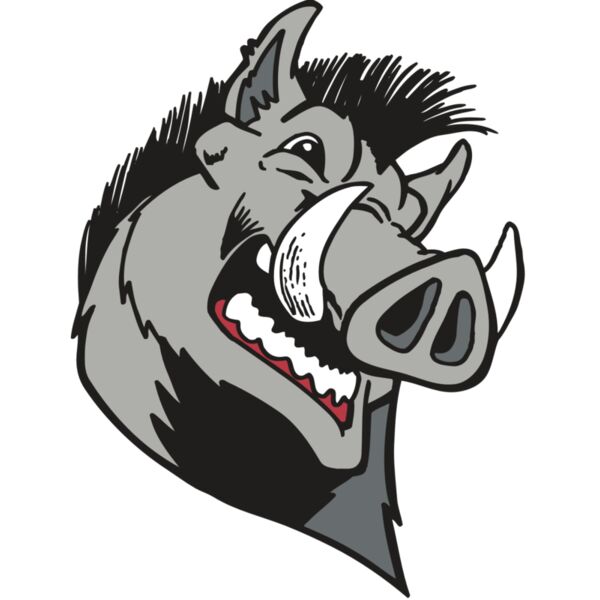 AR RAZORBACK 15 RC Miniaturansicht