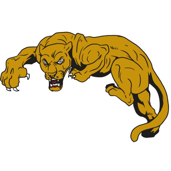 AR10 PANTHER 02 RQC Miniaturansicht