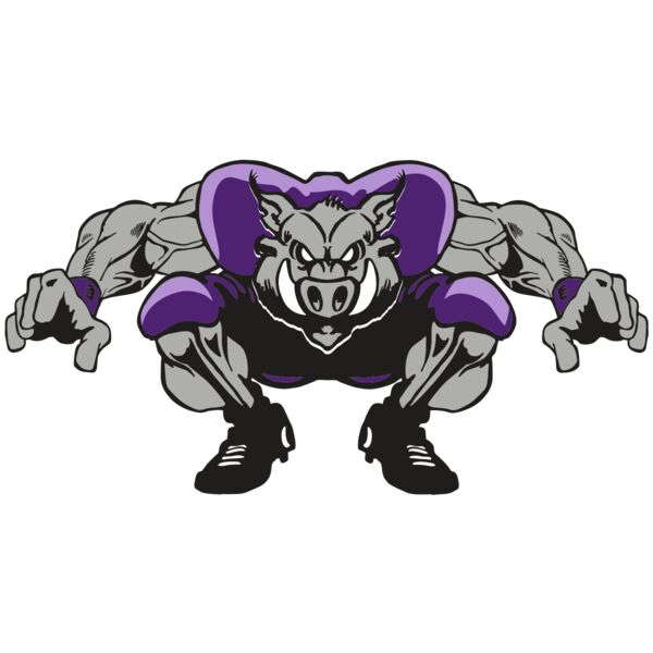 AR RAZORBACK 28 RC Miniaturansicht