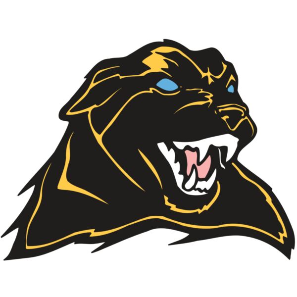 AR COUGAR 42 RC Miniaturansicht