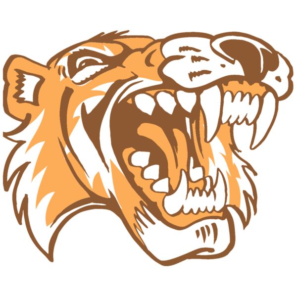 AR3 TIGER 01 RQC Miniaturansicht