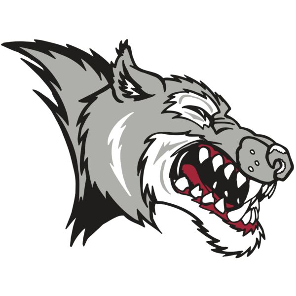 AR WOLF 15 RC Miniaturansicht