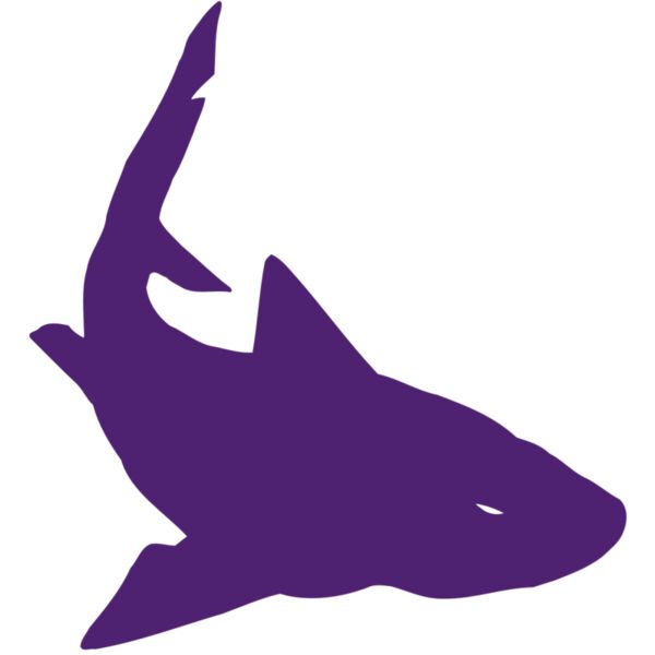 AR5 Shark 05 RQC Miniaturansicht