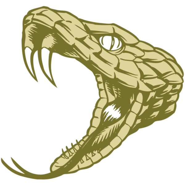 BAW SNAKE 11 RC Miniaturansicht