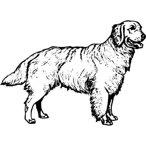 DC0039 Miniaturansicht