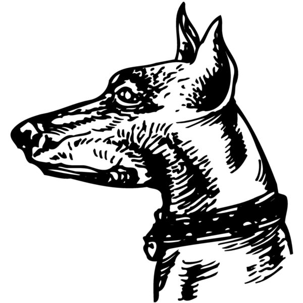 DC0055 Miniaturansicht