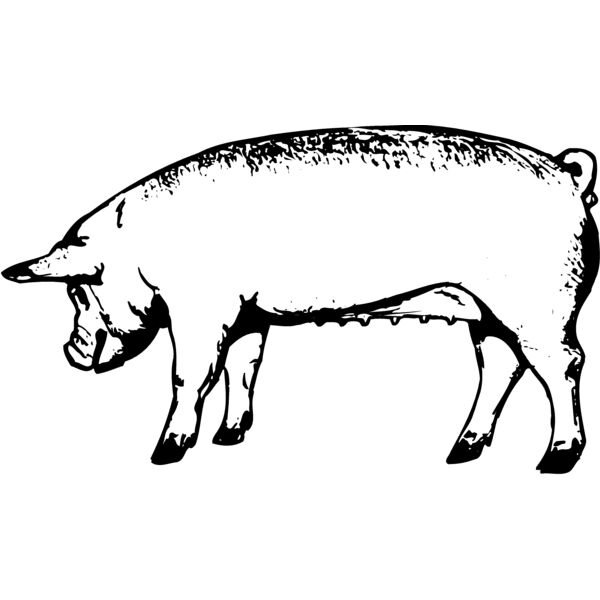 SOW0001 Miniaturansicht