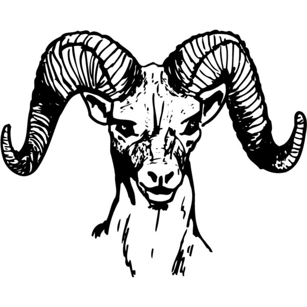 RAM002 Miniaturansicht