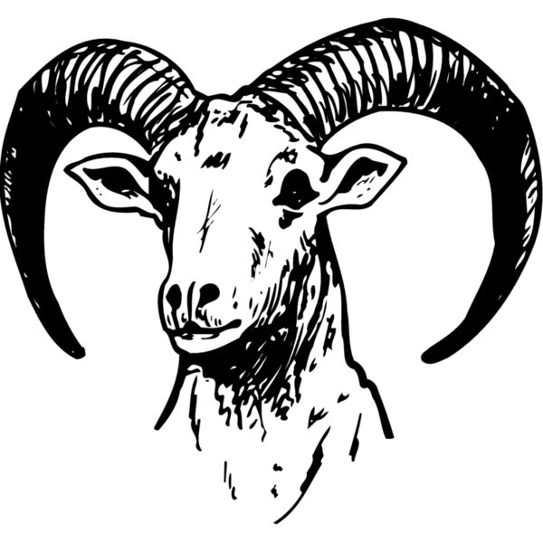 RAM012 Miniaturansicht