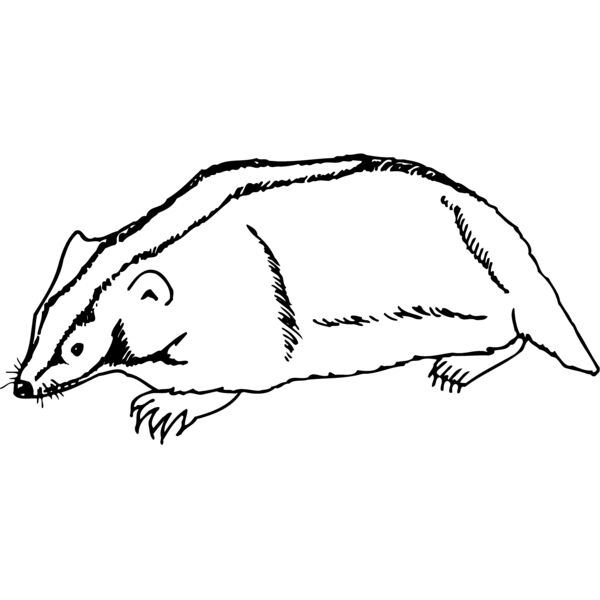 BADGER06 Miniaturansicht