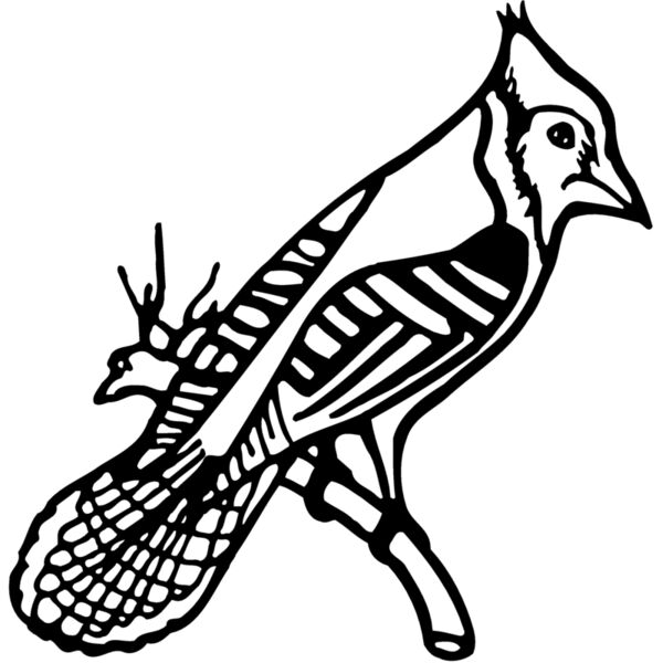 BIRD010 Miniaturansicht