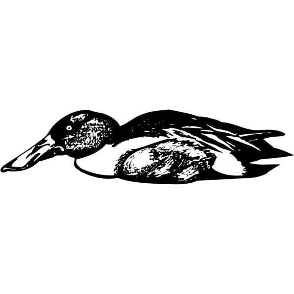 BIRD099 Miniaturansicht