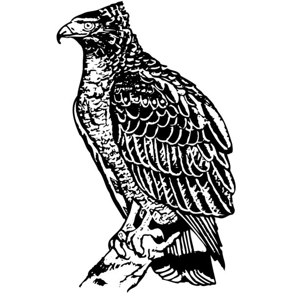 EAGLE019 Miniaturansicht