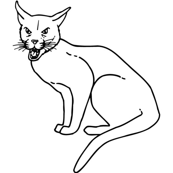 CAT21 Miniaturansicht