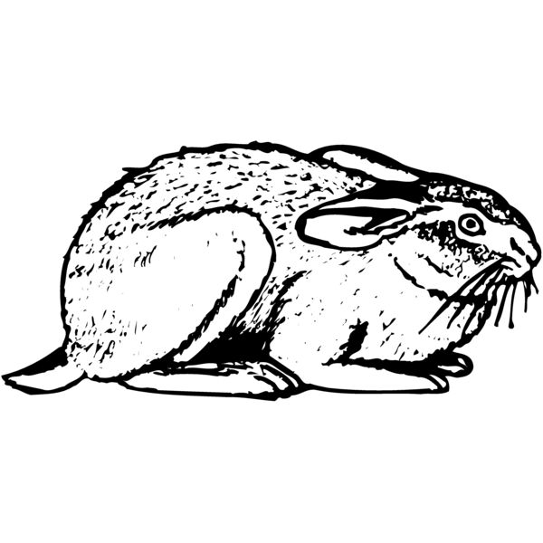 RABB004 Miniaturansicht