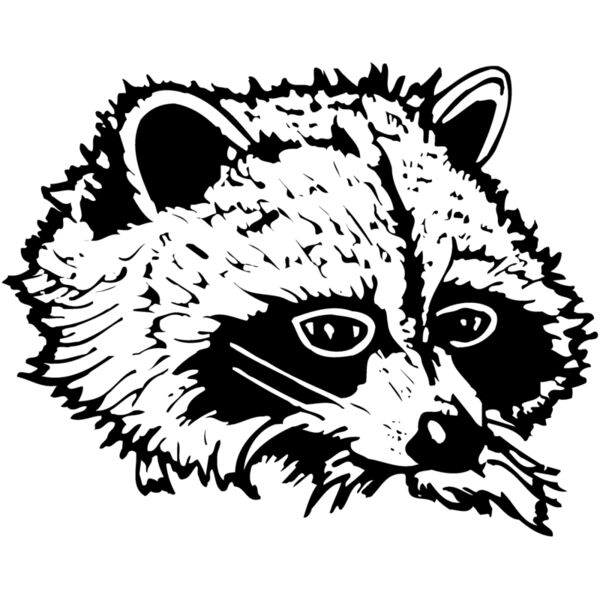 COON004 Miniaturansicht