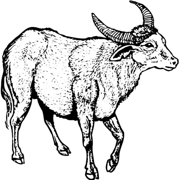 WBUFF001 Miniaturansicht