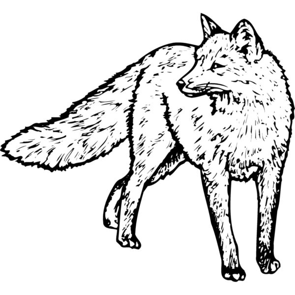 F_W010 Miniaturansicht