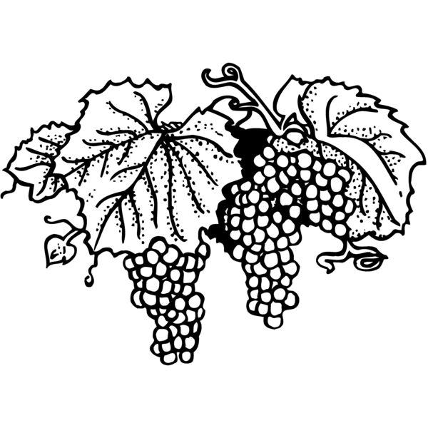 FRUIT005 Miniaturansicht