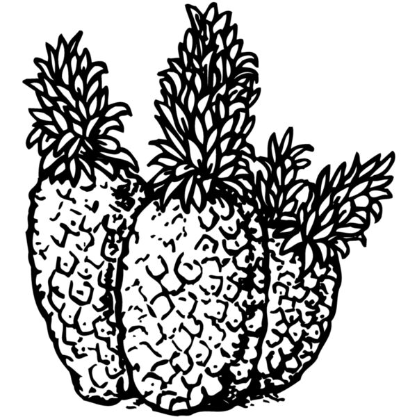 FRUIT039 Miniaturansicht